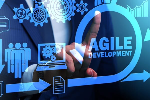 Online Course Certified Agile Project Manager