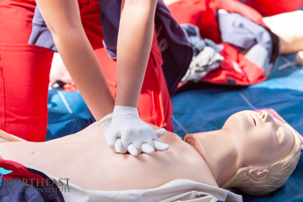 Online Course Certified Basic Life Support (BLS) Provider