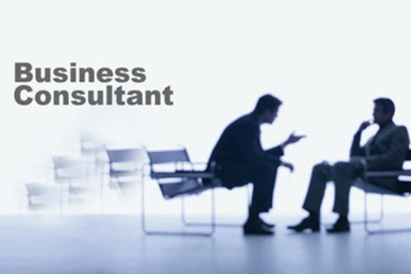 Online Course Certified Business Consultant