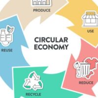 Online Course Certified Circular Economy Strategist