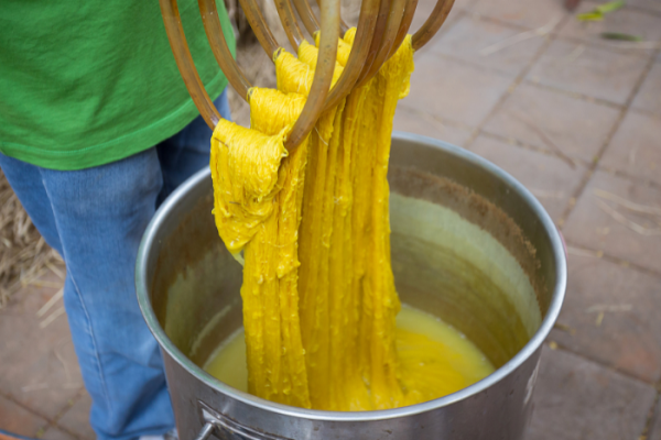 Online Course Certified Dyeing Specialist