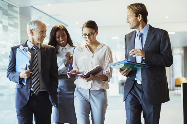 Online Course Certified Effective Business Executive