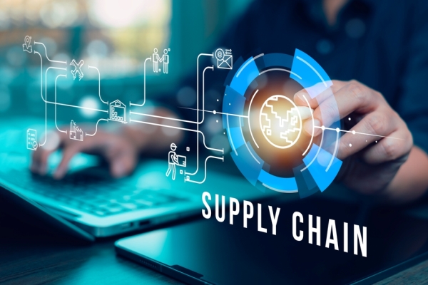 Online Course Certified Global Supply Chain Analyst