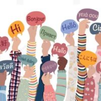 Online Course Certified Multilingual Education Support Specialist