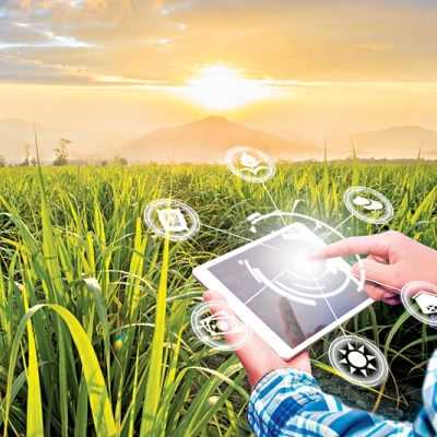 Online Course Certified Rural Project Manager