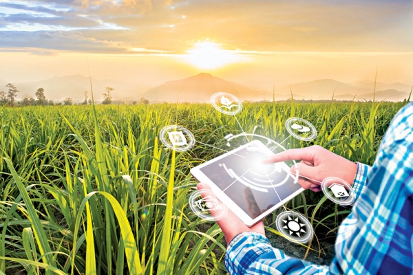 Online Course Certified Rural Project Manager