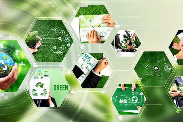 Online Course Certified Sustainable Supply Chain Manager