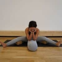 Online Course Certified Yin Yoga Trainer