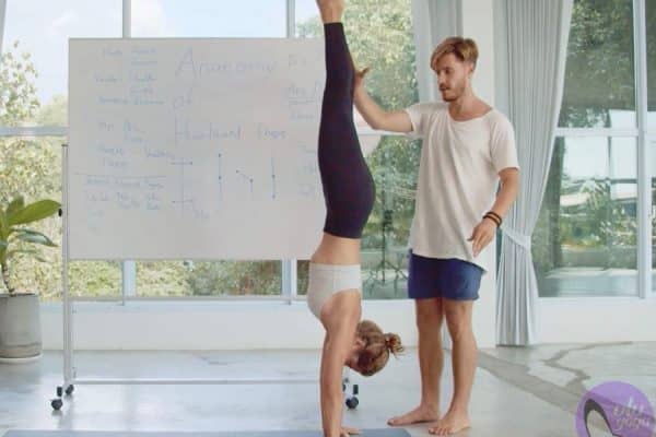 Online Course Certified Yoga Anatomy Educator