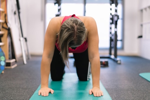 Online Course Certified Yoga Digestive Health Specialist