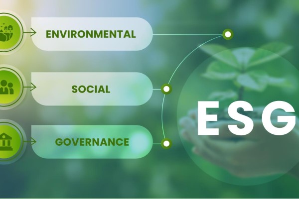 Online Course Certified ESG (Environmental, Social & Governance) Business Analyst