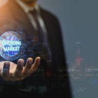 Online Course Certified Emerging Markets Business Manager