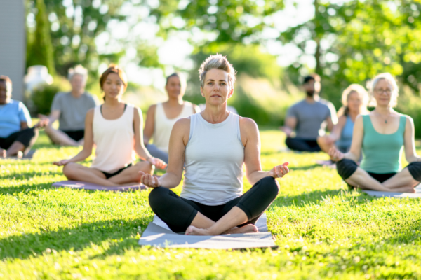 Online Course Certified Transcendental Meditation (TM) Instructor