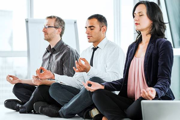 Online Course Certified Yoga & Meditation Business Consultant