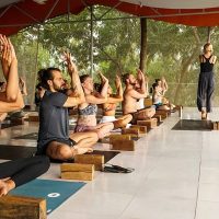 Online Course Certified Yoga & Meditation E-learning Course Developer