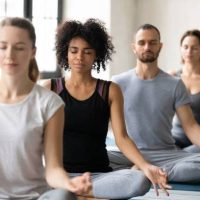 Online Course Certified Yoga & Meditation Workshop Facilitator