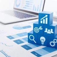 Online Course Certified Enterprise Performance Manager