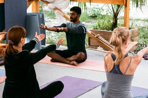 Online Course Certified Hatha Flow Yoga Teacher