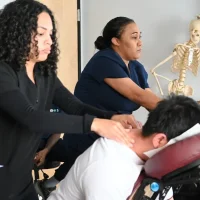 Online Course Certified Holistic Health Practitioner