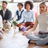Online Course Certified Organizational Mindfulness Consultant