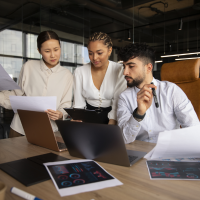 Online Course Certified Project Governance & Risk Manager