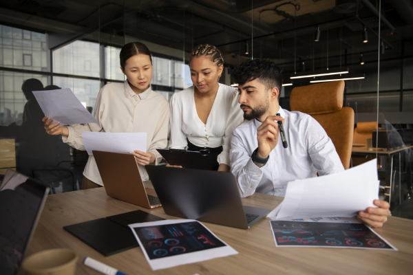 Online Course Certified Project Governance & Risk Manager