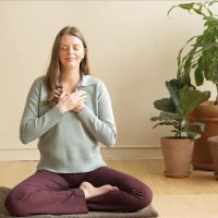 Online Course Certified Restorative Yoga & Meditation Practitioner