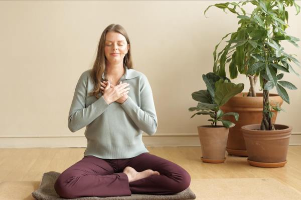 Online Course Certified Restorative Yoga & Meditation Practitioner
