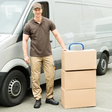 Online Course Certified Road Transport Professional