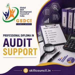 Online Course Professional Diploma in Audit Support