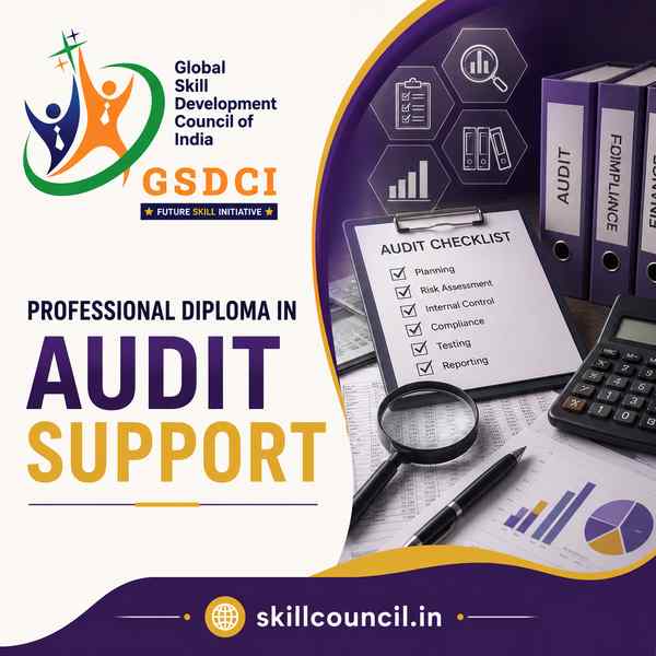 Online Course Professional Diploma in Audit Support