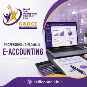 Online Course Professional Diploma in E-Accounting