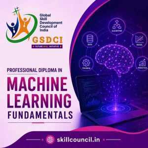 Online Course Professional Diploma in Machine Learning Fundamentals