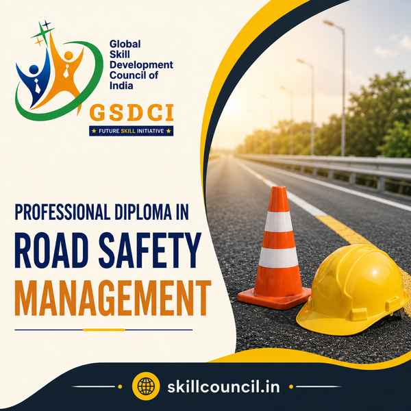 Online Course Professional Diploma in Road Safety Management
