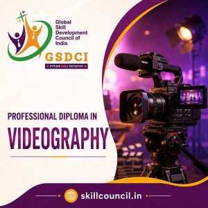 Online Course Professional Diploma in Videography